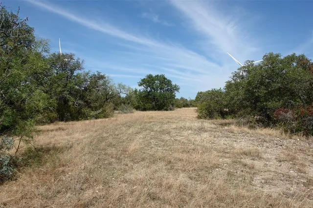 a view of a dry yard with trees in the background