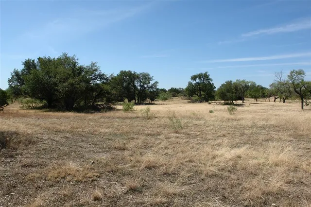 a view of a field with trees in background