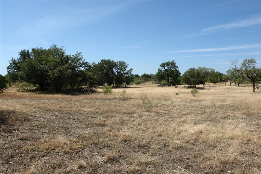 0 County Road 152 Brady, TX 76825 - Photo 12 of 17 a view of a field with trees in background