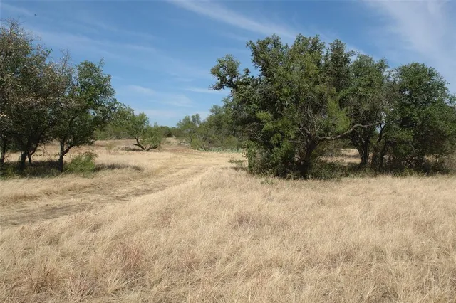 a view of a yard with a tree