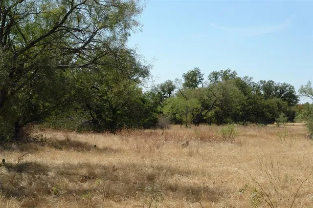 a view of a yard with a tree