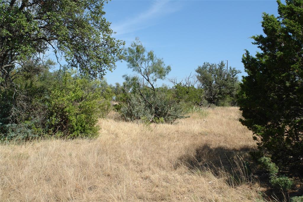 0 County Road 152 Brady, TX 76825 - Photo 16 of 17 a view of a yard covered with trees