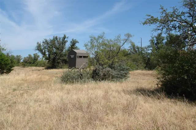 a view of a dry yard with wooden fence