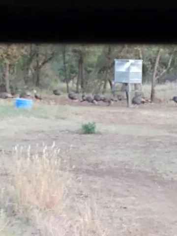 a view of water heater room