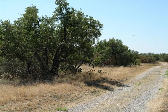 a view of a dirt road with trees in the background