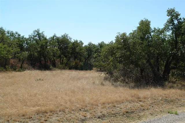 a view of a dry yard with trees in the background