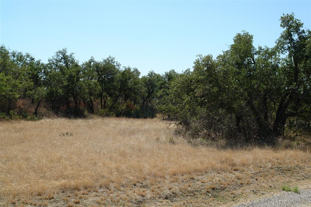 0 County Road 152 Brady, TX 76825 - Photo 8 of 17 a view of a dry yard with trees in the background