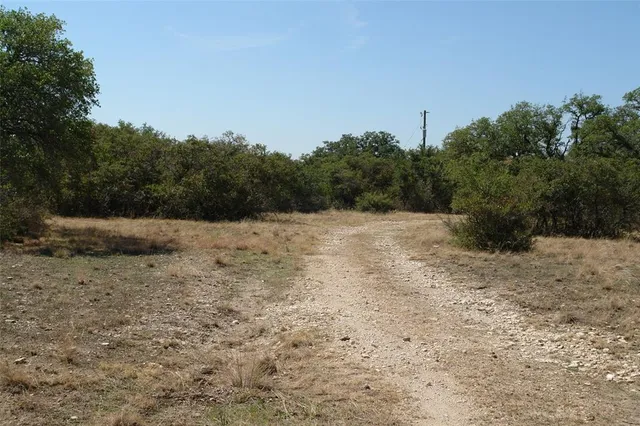 a view of a dry yard with trees