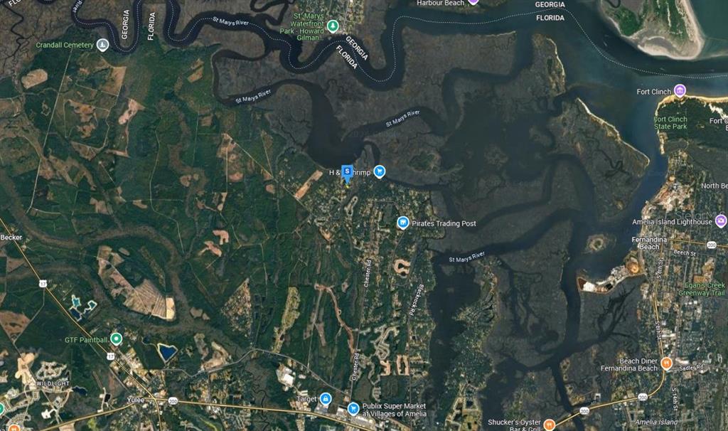 29201 Grandview Manor Yulee, FL 32097 - Photo 4 of 5 a close up of a tree in a garden