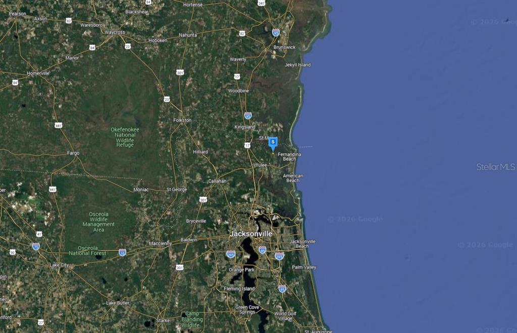 29201 Grandview Manor Yulee, FL 32097 - Photo 5 of 5 a close up of a plant in a garden