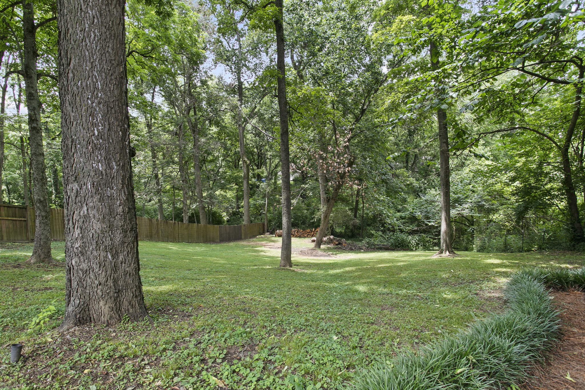 130 Spring Valley Road Nashville, TN 37214 - Photo 45 of 46 a view of outdoor space with trees all around