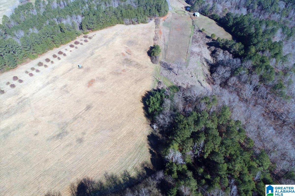 651 Old Hickory Road, Unit 15 ACRES Warrior, AL 35180 - Photo 12 of 13