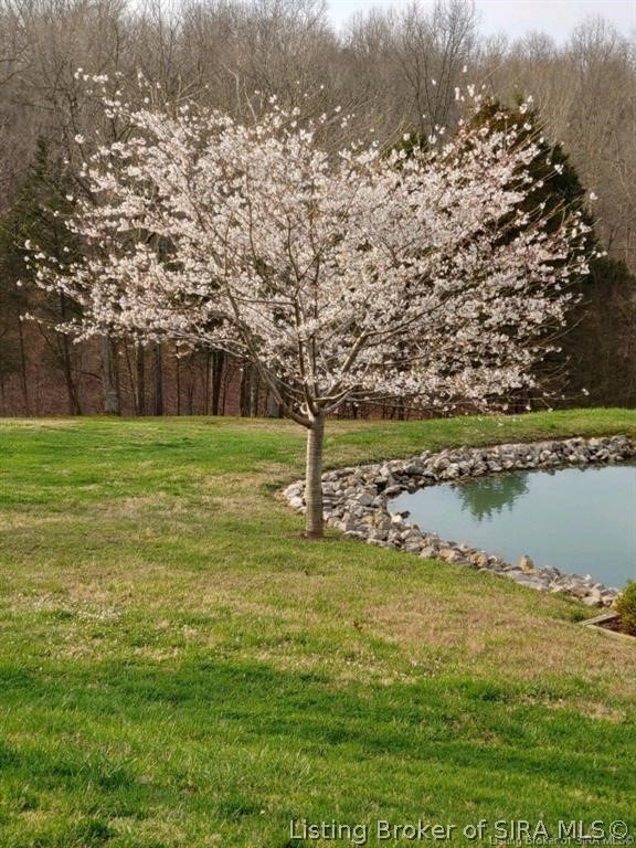 2137 East Mt Sterling Road English, IN 47118 - Photo 8 of 24 Gallery Image 8