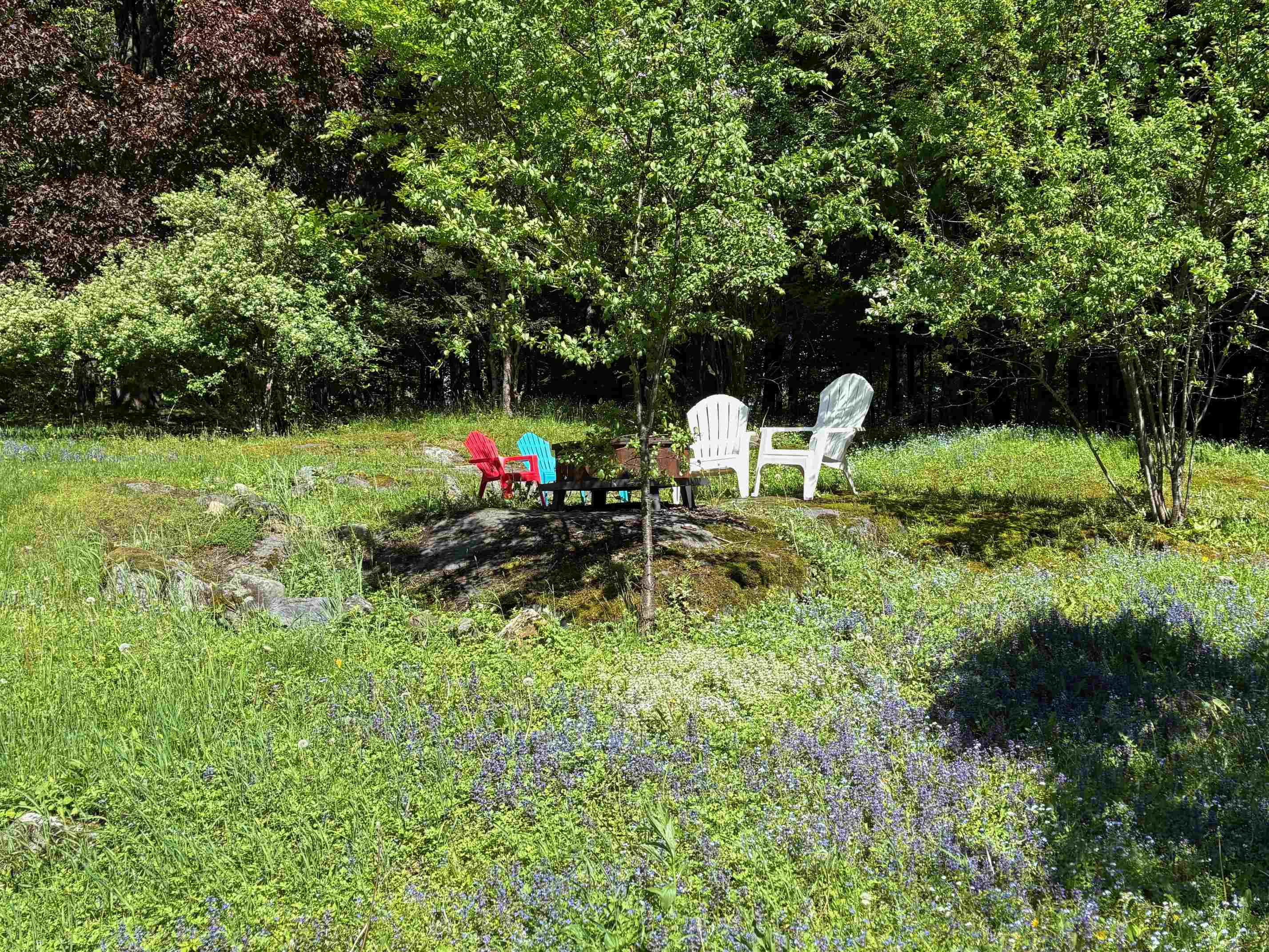 170 Spring Hollow Lane Montpelier, VT 05602 - Photo 60 of 60