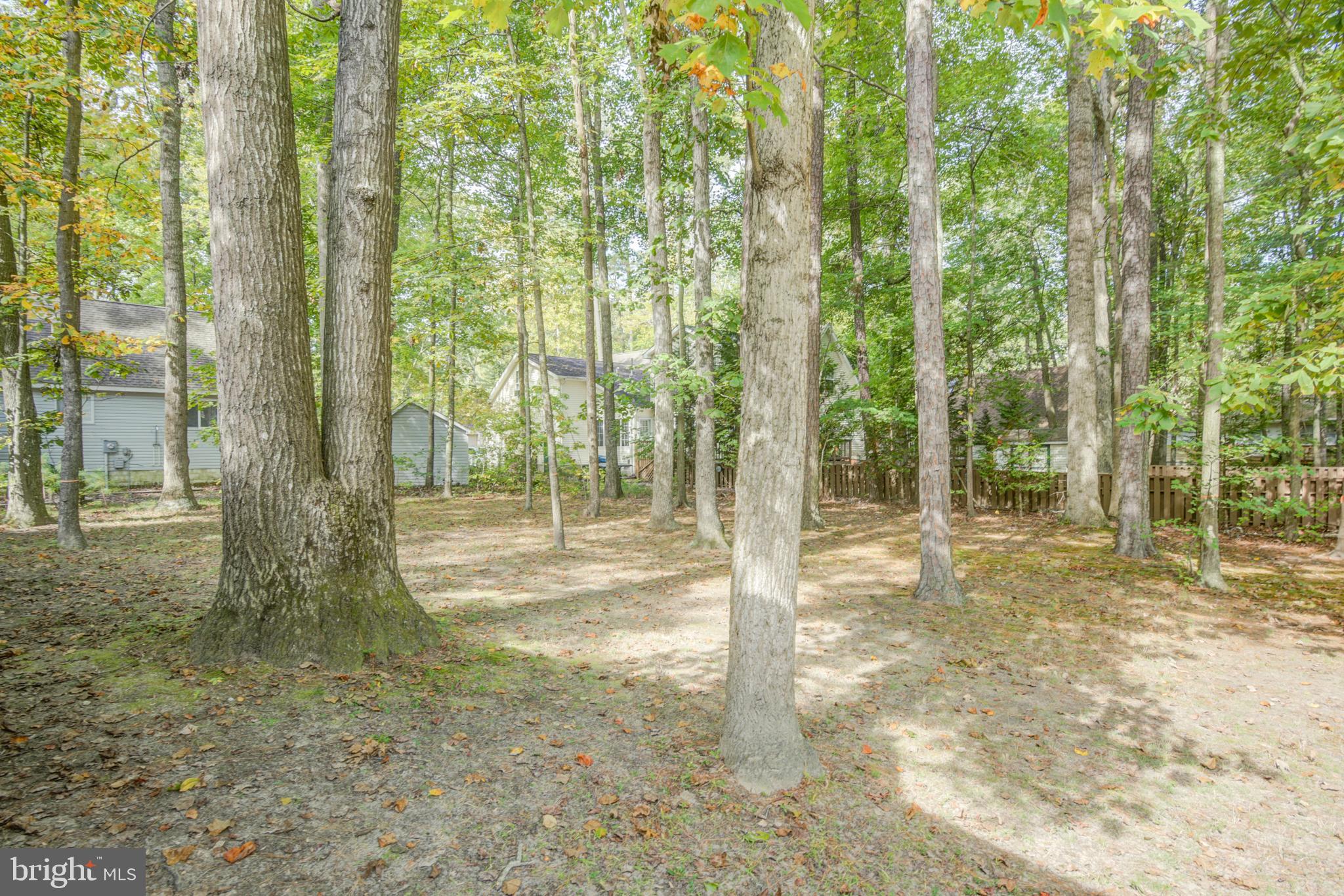 19 Capetown Road Ocean Pines, MD 21811 - Photo 16 of 56 a view of backyard with green space