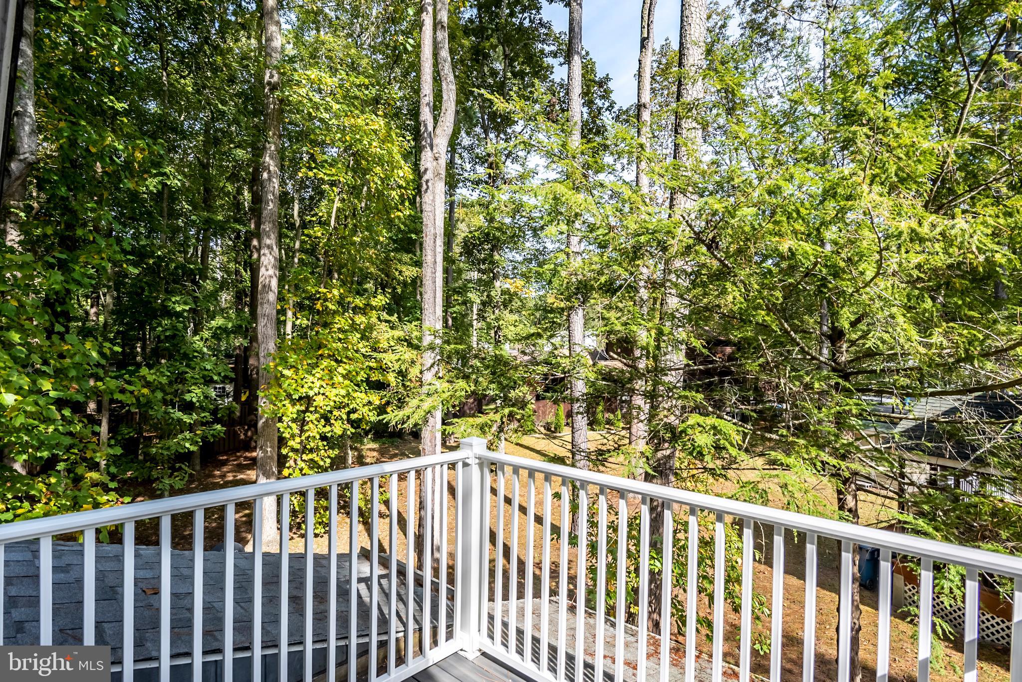 19 Capetown Road Ocean Pines, MD 21811 - Photo 39 of 56 a view of a balcony with a plant