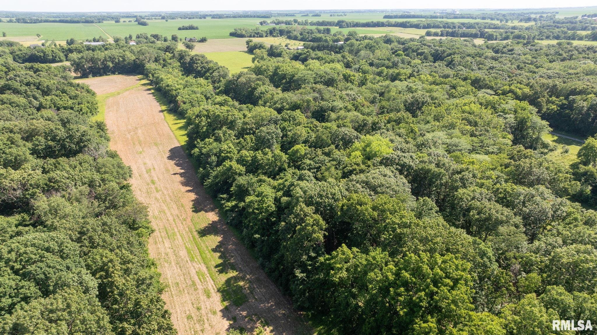 8543 Frey Road Pleasant Plains, IL 62677 - Photo 11 of 23