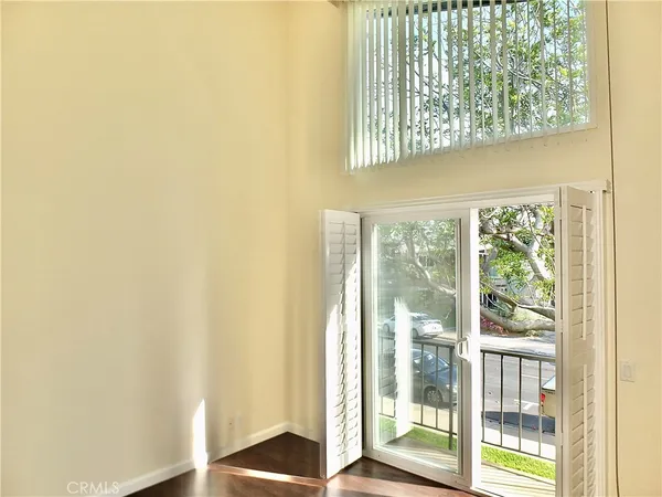 a picture of a tree with lots of plants