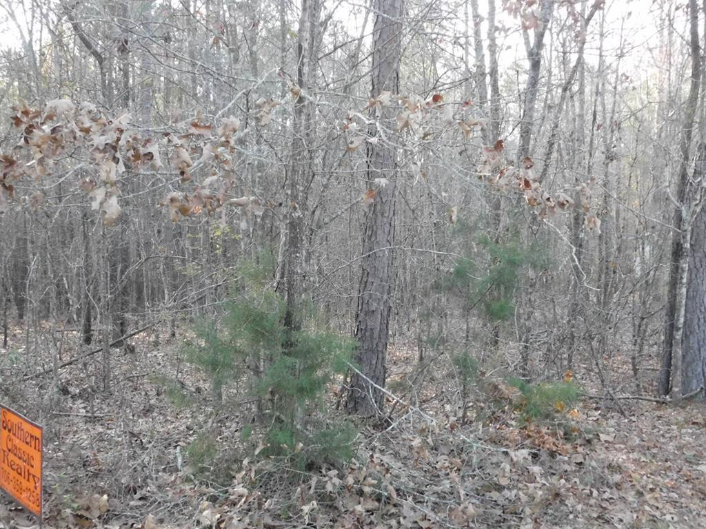 0 Remsen Road Lincolnton, GA 30817 - Photo 1 of 5 Main View