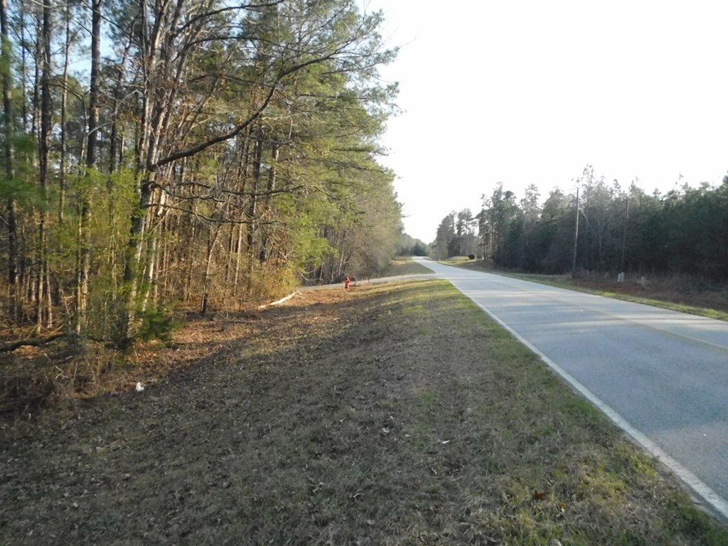 0 Remsen Road Lincolnton, GA 30817 - Photo 3 of 5 Gallery Image 3