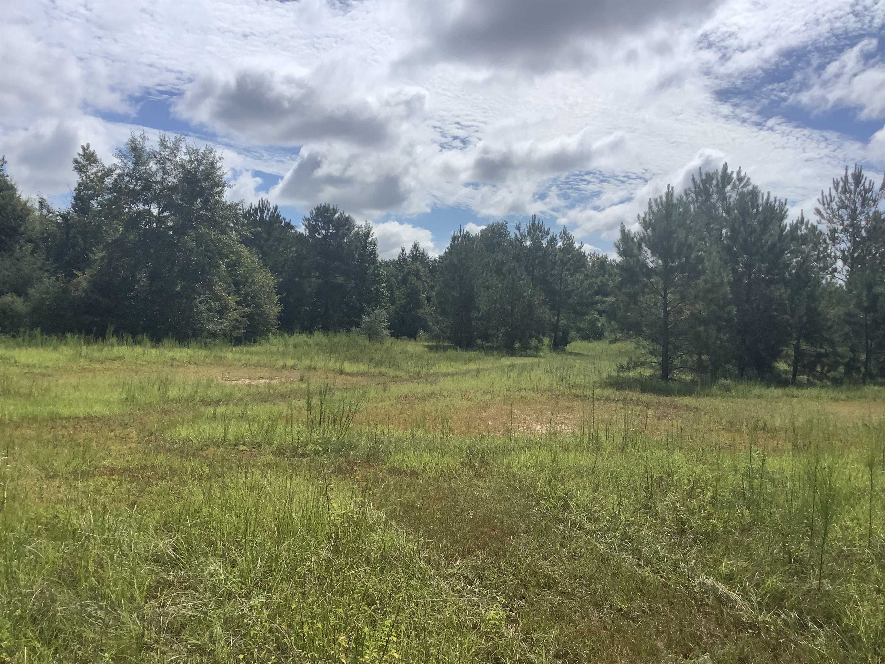 74 Old School Road Opp, AL 36467 - Photo 12 of 18 Gallery Image 12