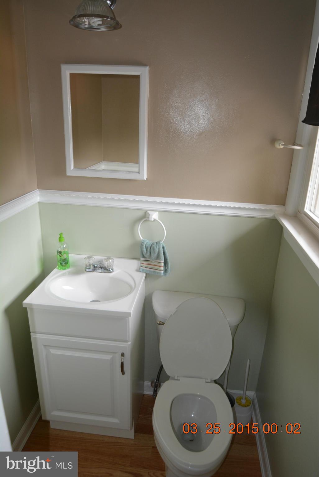 8405 Leaf Road Alexandria, VA 22309 - Photo 15 of 29 Bath (Master)
