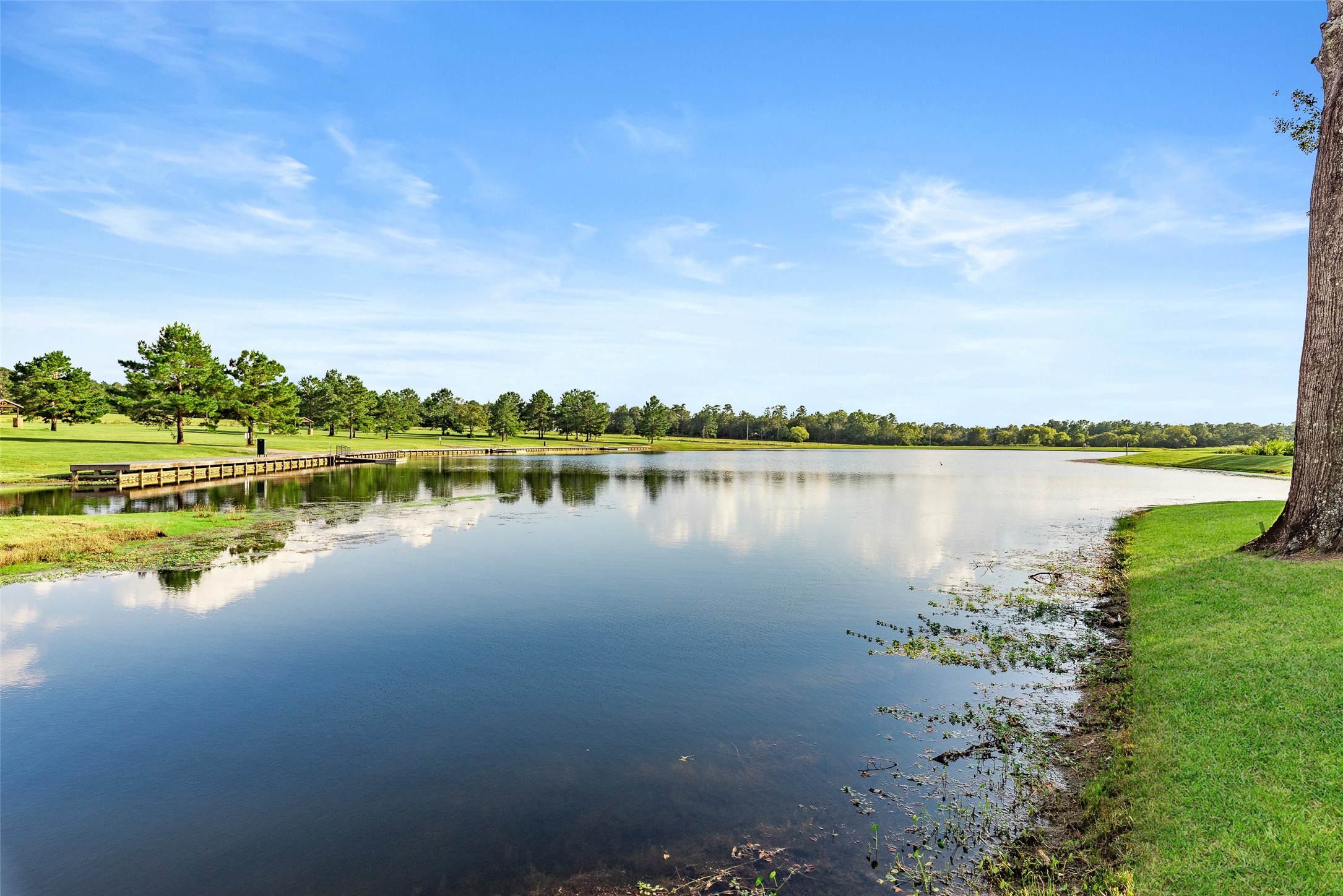 16086 Forest Mill Road Willis, TX 77378 - Photo 6 of 11 Gallery Image 6