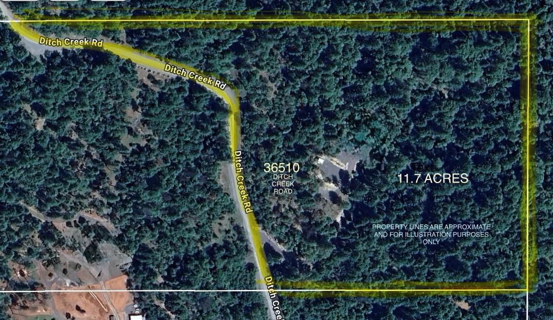 36510 Ditch Creek Road Rogue River, OR 97537 - Photo 3 of 17 Ditch Creek New Arial