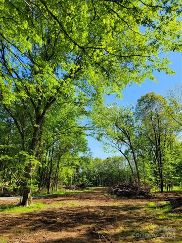 $104,000 | Lot 29 John Morgan Road, Unit 29, Gold Hill, NC 28071