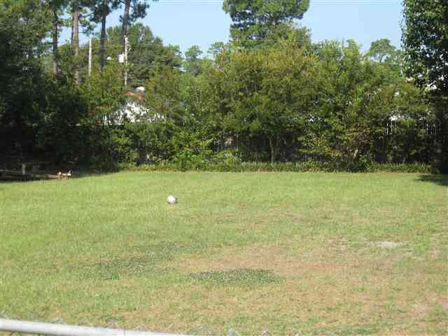 2004 Loblolly Street Georgetown, SC 29440 - Photo 10 of 14