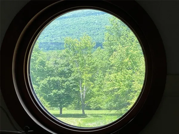 a view of a garden from a window