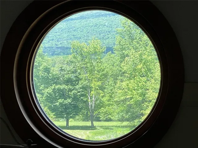 a view of a garden from a window