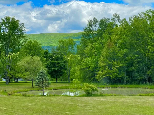 a view of a golf course with a lake
