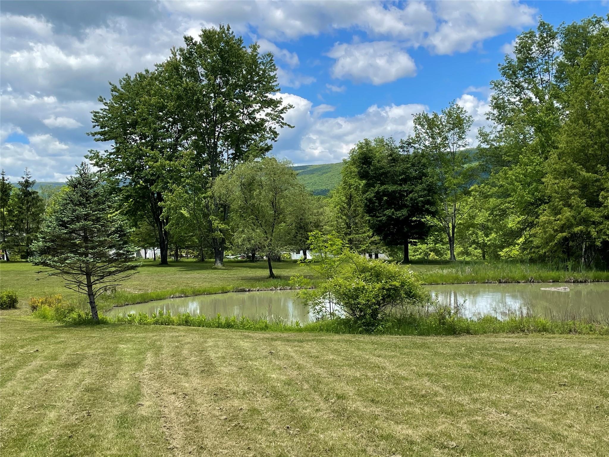 71 Saddleback Ridge Wallkill, NY 12589 - Photo 27 of 39
