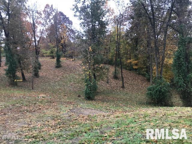 141 Country Club Road Carbondale, IL 62903 - Photo 7 of 39 Gallery Image 7