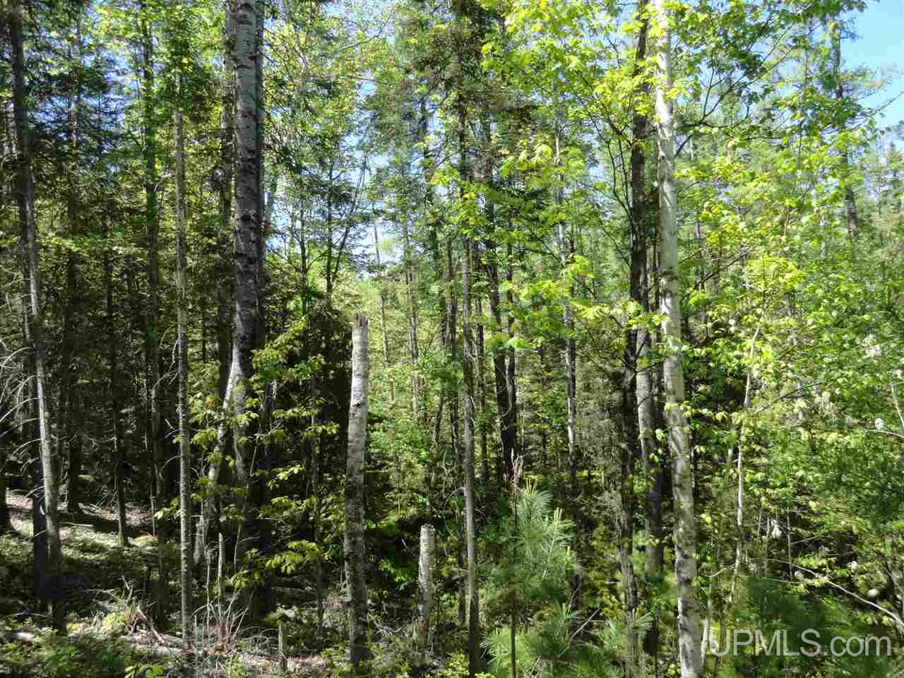 40 Two 2 Mile Creek Road Channing, MI 49815 - Photo 8 of 15