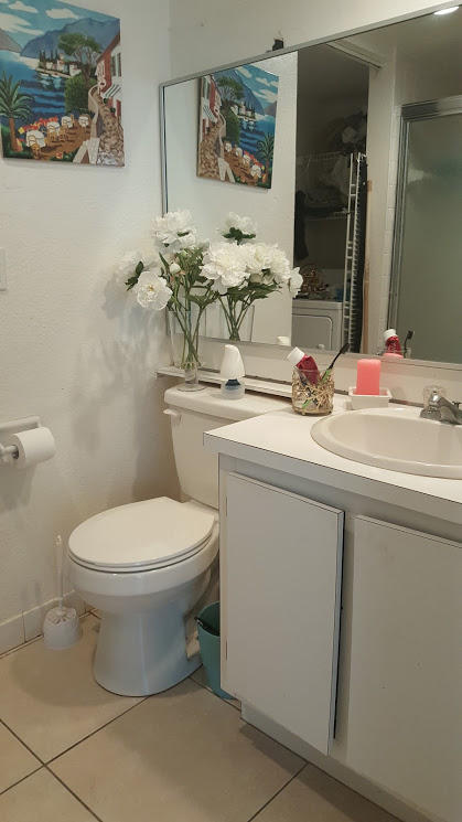 407 Arabian Road, Unit 407 Palm Springs, FL 33461 - Photo 10 of 19 20170218_152539