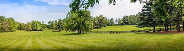 3530 Delong Road Lexington, KY 40515 - Photo 49 of 59 Photo 49