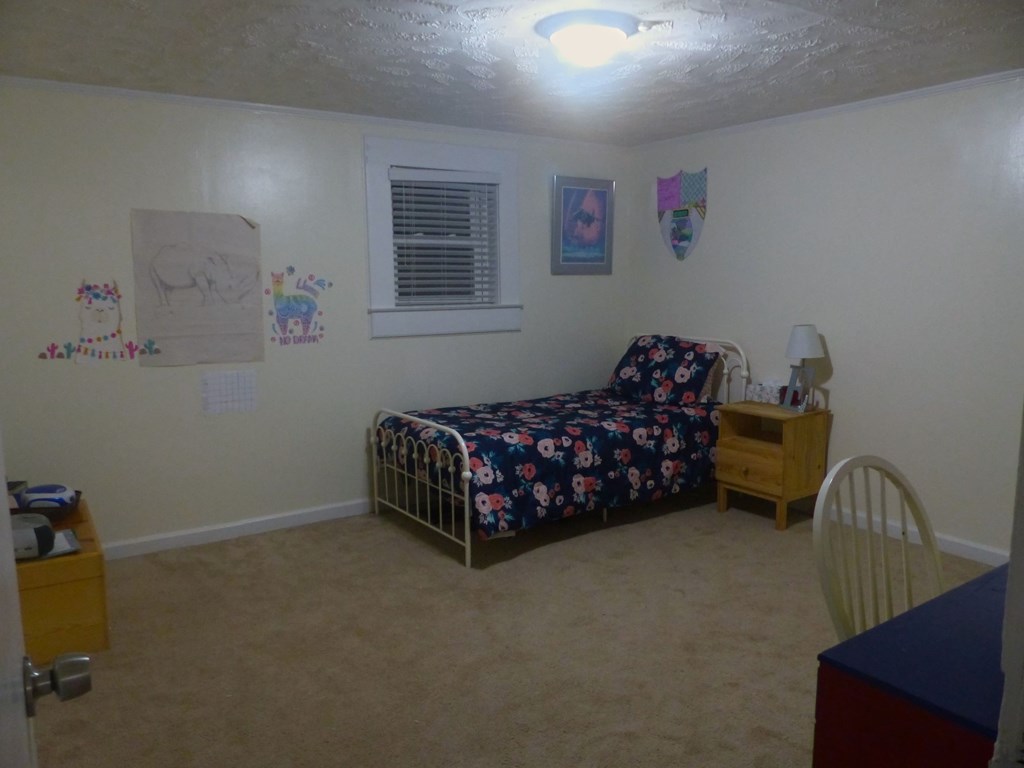 10225 County Line Road Midland, GA 31820 - Photo 16 of 19