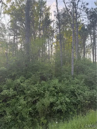 $125,000 | Miner Road, Chittenango, NY 13037