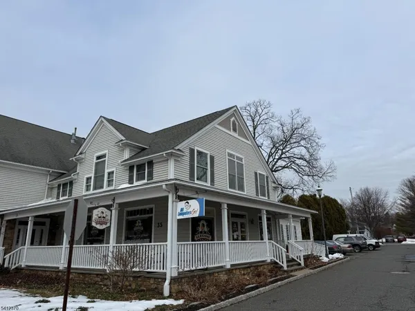 a living room with furniture potted plant and a large window