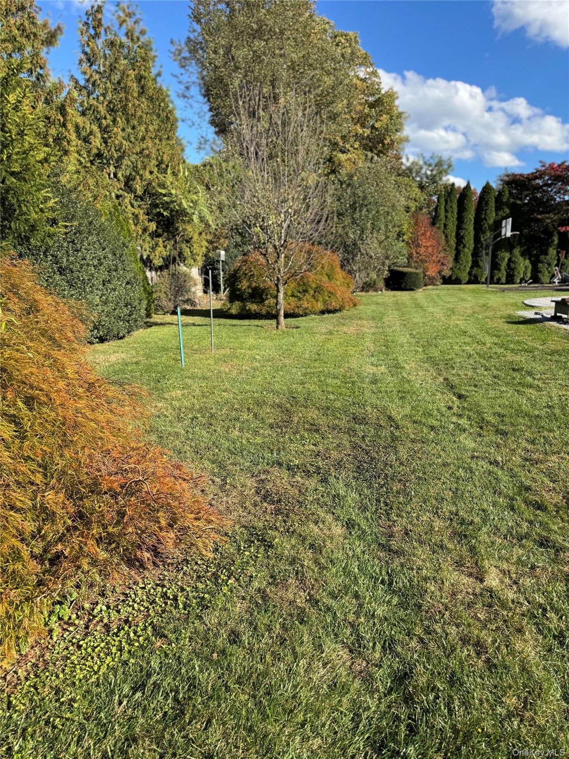 80 Dorset Road Scarsdale, NY 10583 - Photo 11 of 13 a view of a field with trees