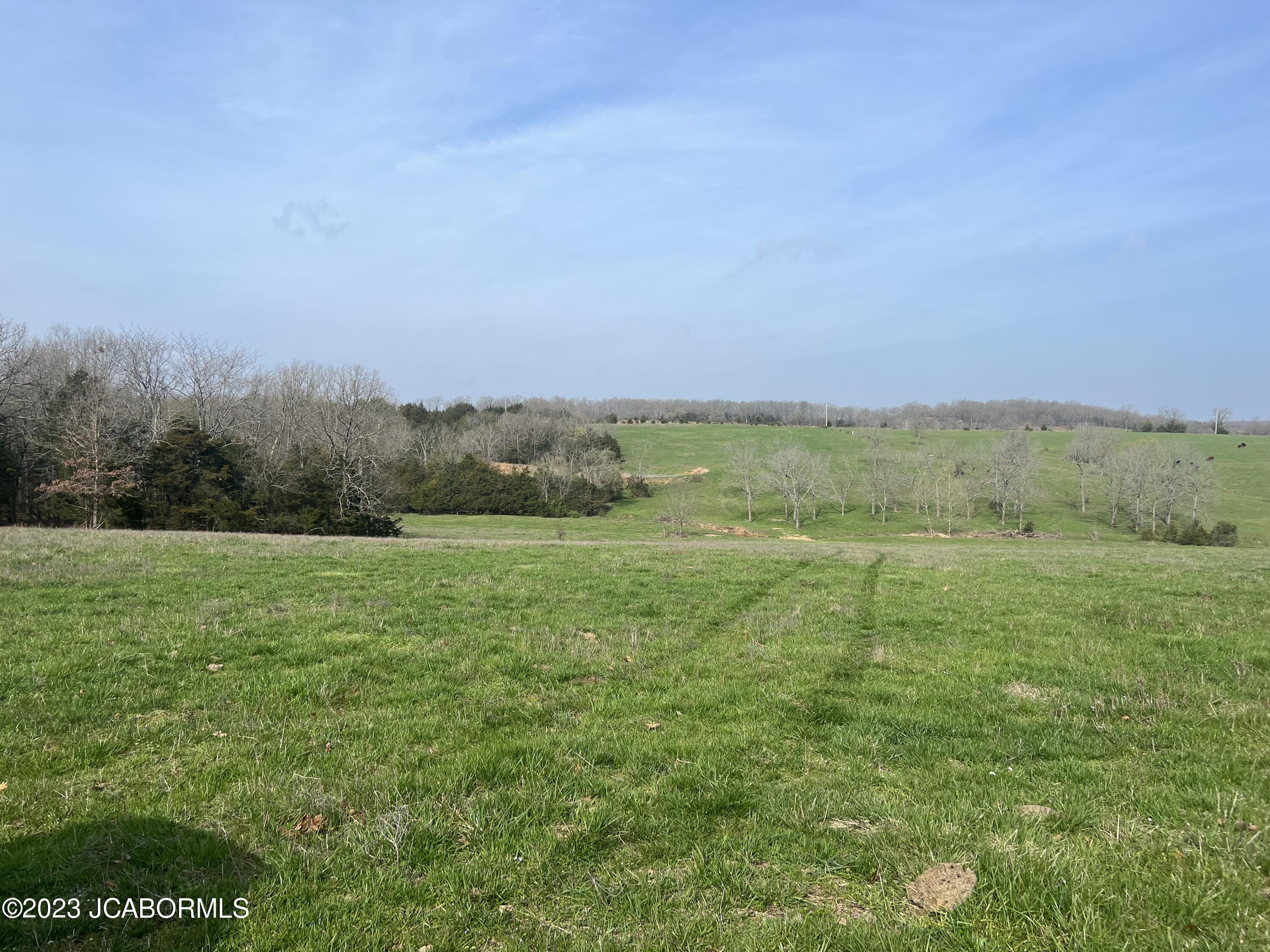 Tbd Tbd Rodeo Drive Iberia, MO 65486 - Photo 6 of 18