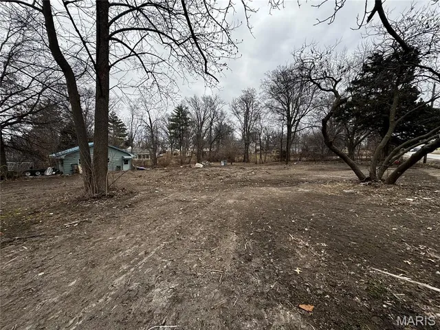 $60,000 | 323 West Phipps Street, La Plata, MO 63549