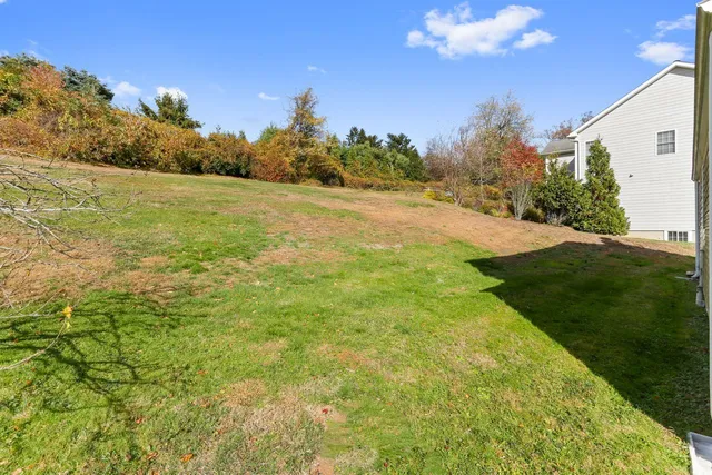 a view of a field with an ocean