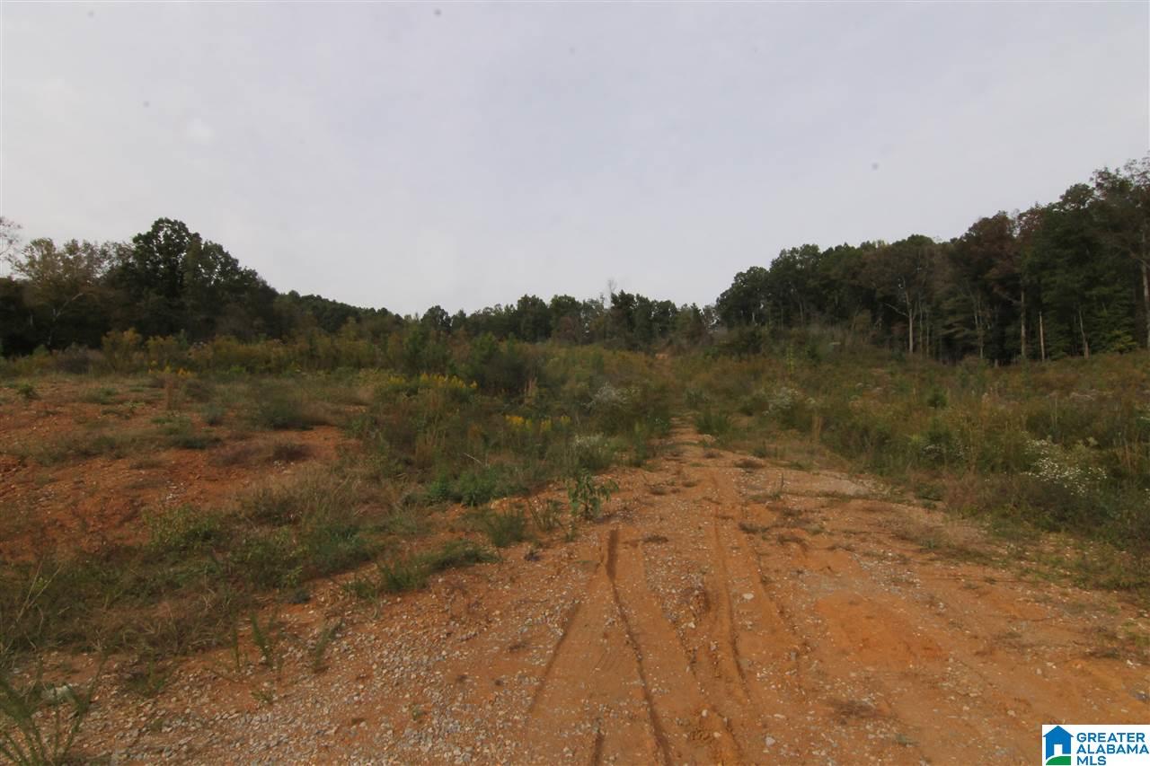 6317 County Road 10, Unit 60 Heflin, AL 36264 - Photo 3 of 6