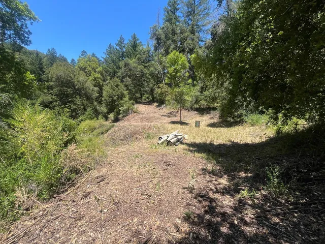 a view of a dirt road with trees in the background