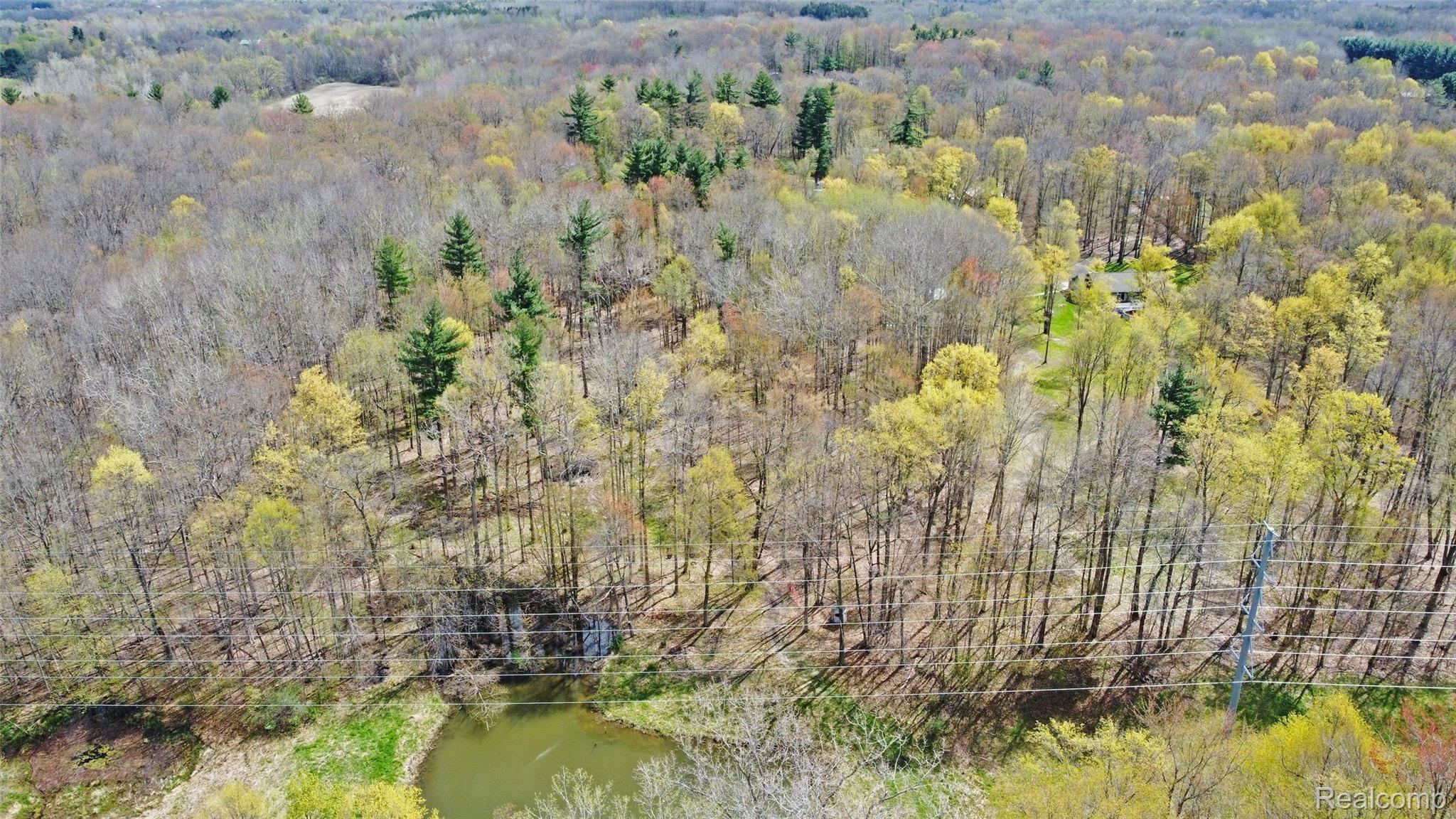 4095 Flint River Road Columbiaville, MI 48421 - Photo 83 of 84 84) Aerial Backyard.jpg