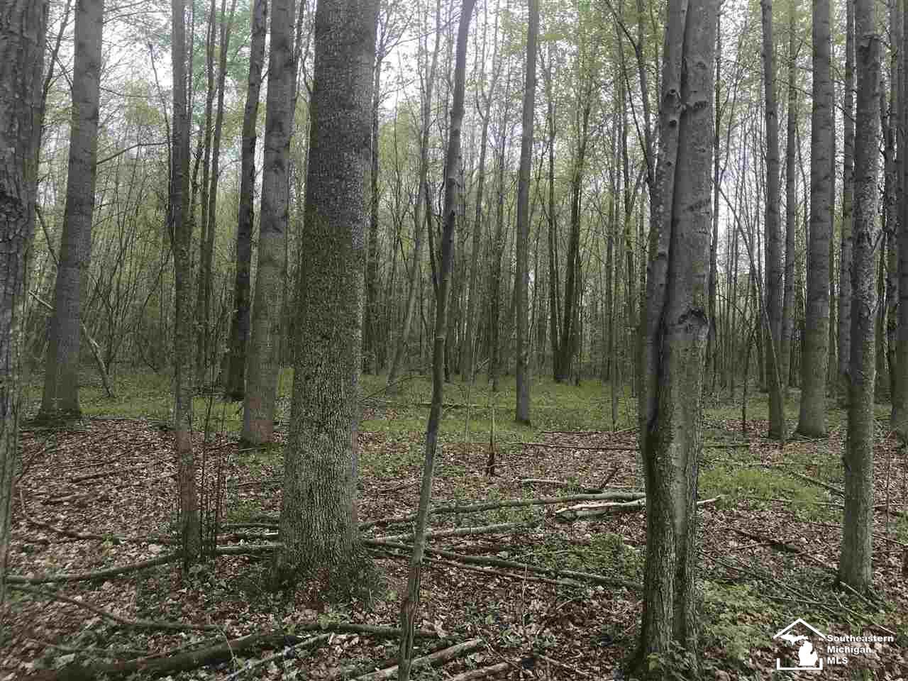 0 Bunton Road Milan, MI 48160 - Photo 17 of 22