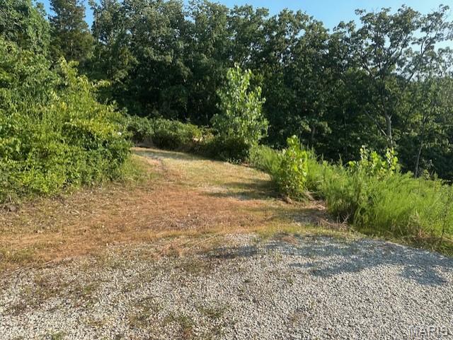 16960 Cescutti Road Marthasville, MO 63357 - Photo 2 of 6